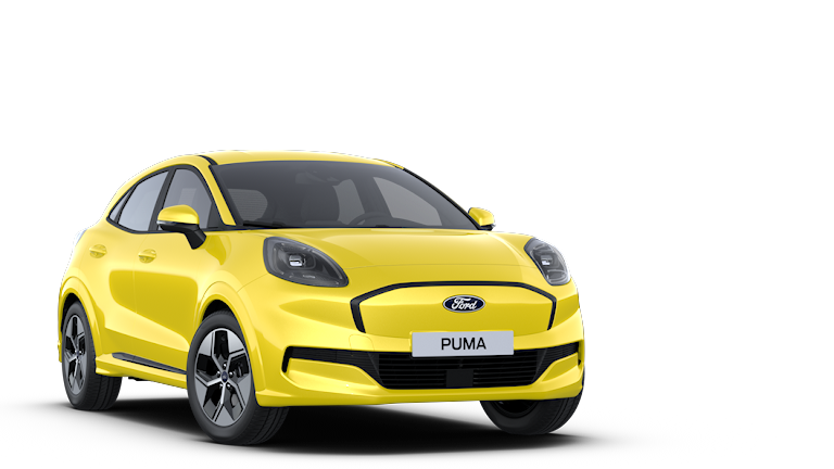 NYE FORD PUMA