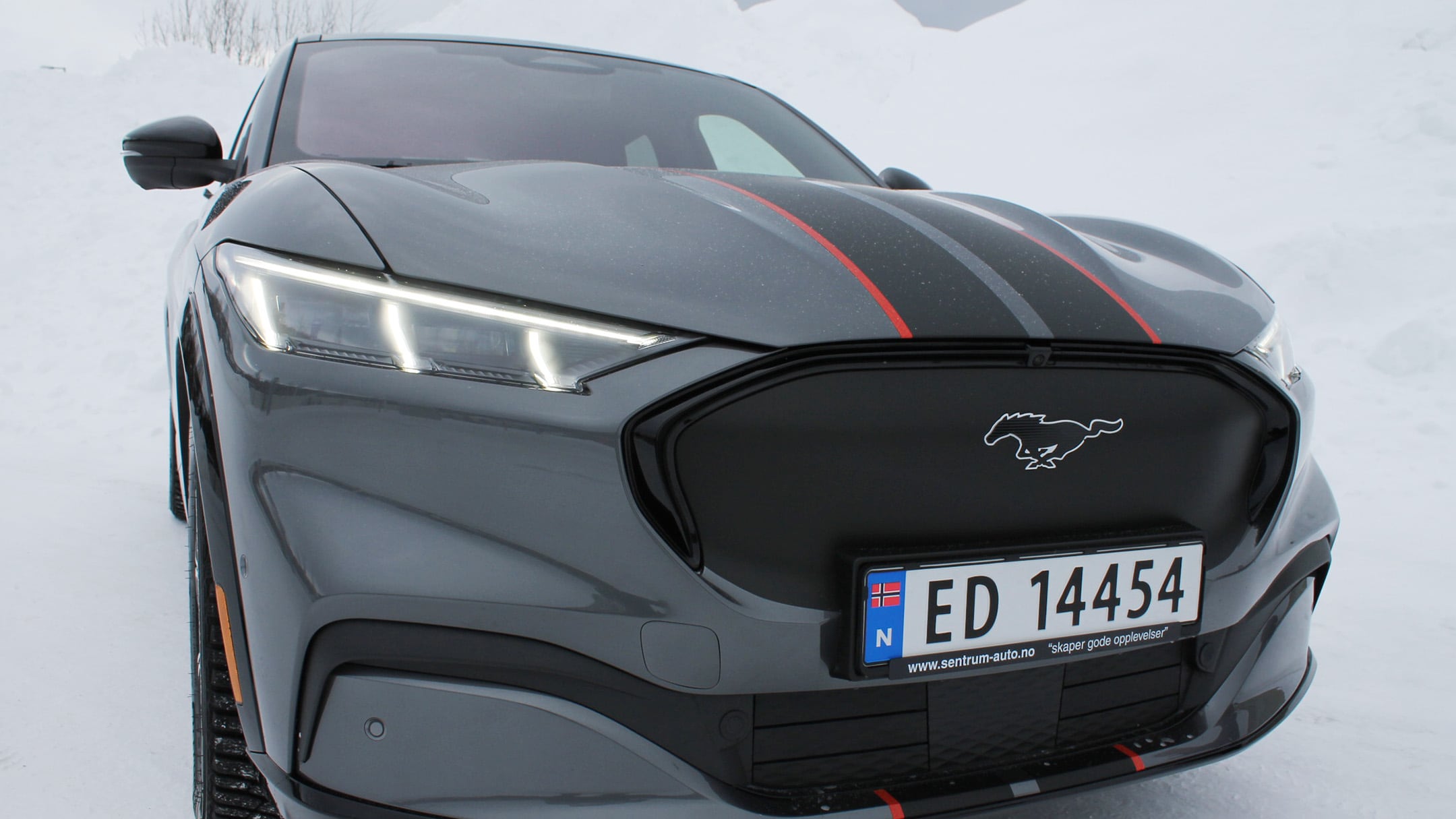 Ford Mustang Mach-E front grille detail