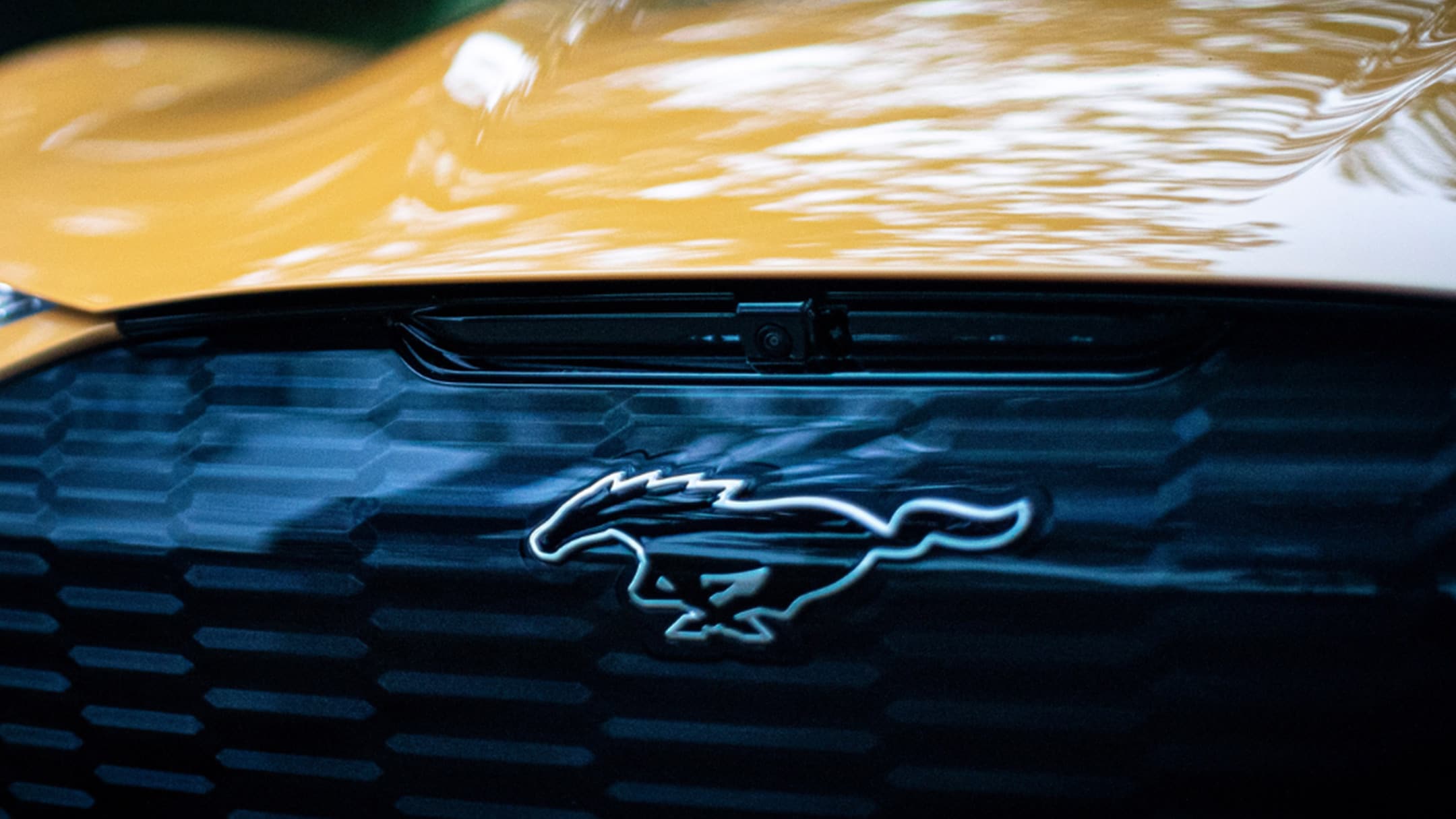 Ford Mustang Mach-E Logo