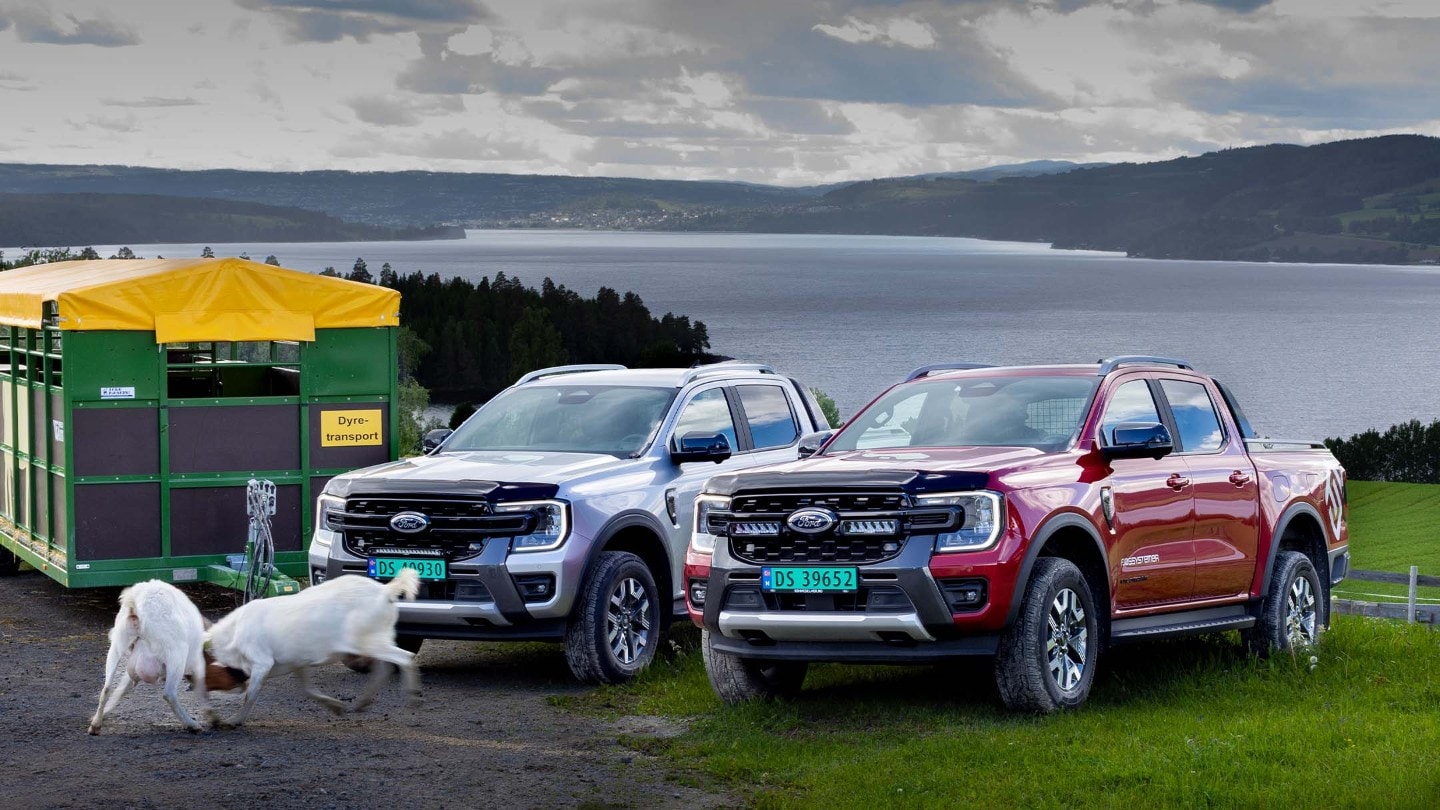 Røde og sølvfargede Ford Ranger pickuper parkert på en ås ved siden av en grønn dyretilhenger, med en geit og innsjø.