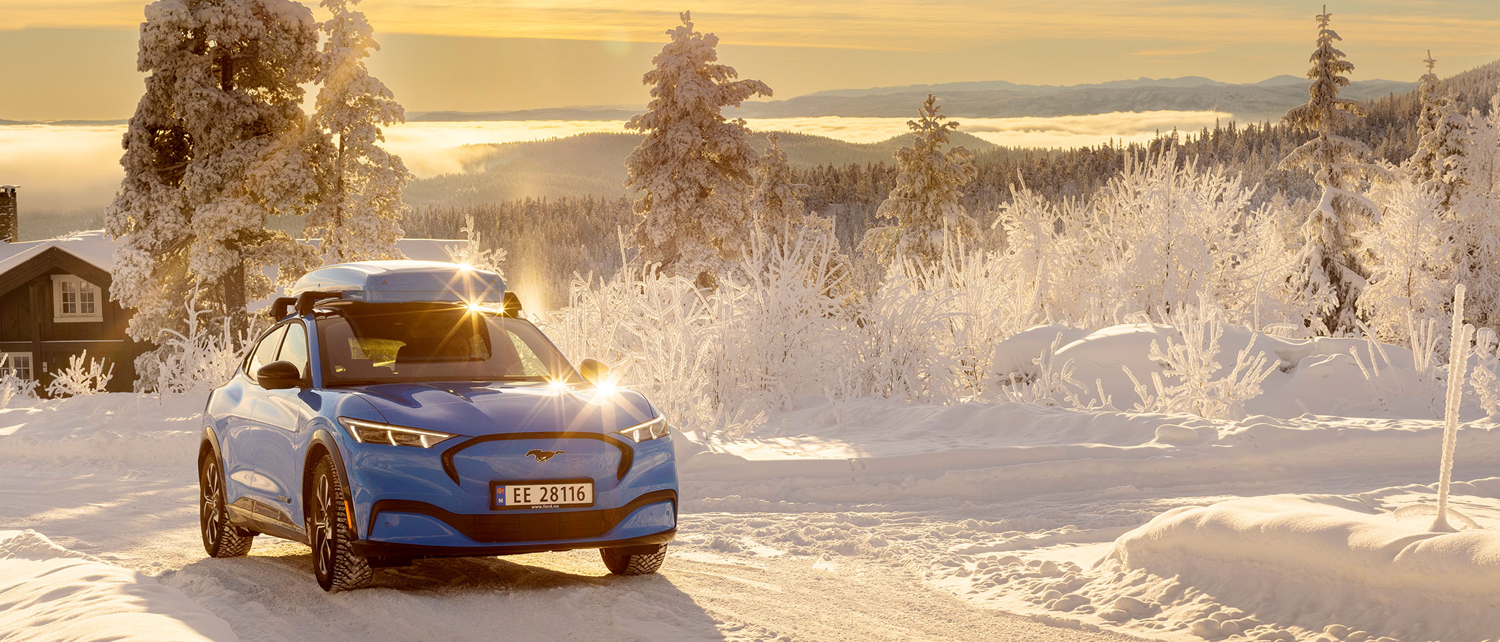 A blue Mustang Mach-E in the snow