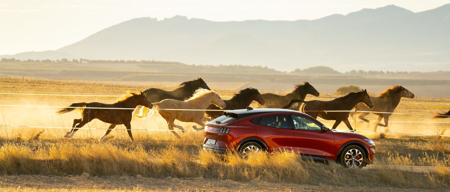 Red Ford Mustang Mach-E Premium AWD driving with horses